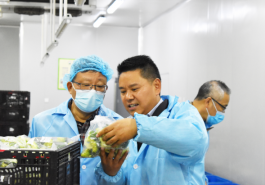 上秋制冷助力太來果蔬合作社，開啟農(nóng)業(yè)保鮮新篇章